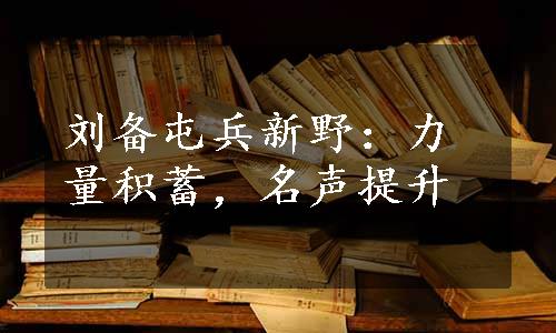 刘备屯兵新野：力量积蓄，名声提升