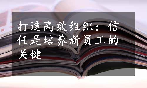 打造高效组织：信任是培养新员工的关键