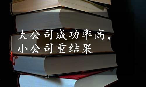 大公司成功率高，小公司重结果