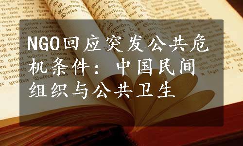 NGO回应突发公共危机条件：中国民间组织与公共卫生