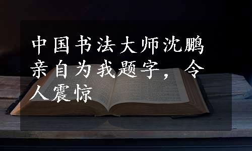 中国书法大师沈鹏亲自为我题字，令人震惊