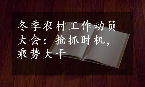 冬季农村工作动员大会：抢抓时机，乘势大干