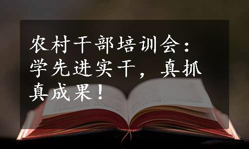 农村干部培训会：学先进实干，真抓真成果！