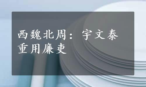 西魏北周：宇文泰重用廉吏