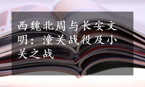 西魏北周与长安文明：潼关战役及小关之战