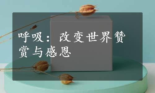 呼吸：改变世界赞赏与感恩