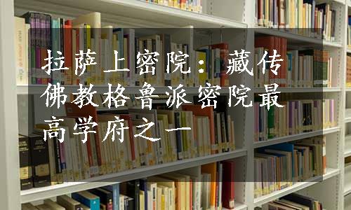 拉萨上密院：藏传佛教格鲁派密院最高学府之一