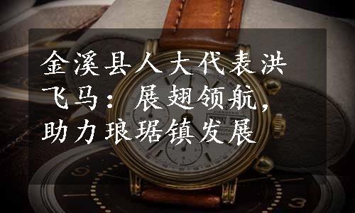 金溪县人大代表洪飞马：展翅领航，助力琅琚镇发展