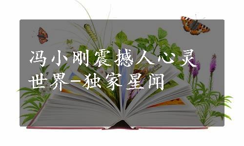 冯小刚震撼人心灵世界-独家星闻