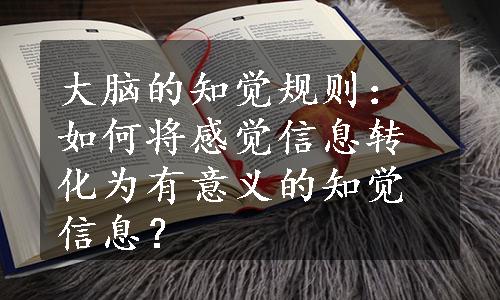 大脑的知觉规则：如何将感觉信息转化为有意义的知觉信息？