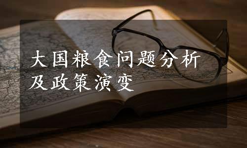 大国粮食问题分析及政策演变