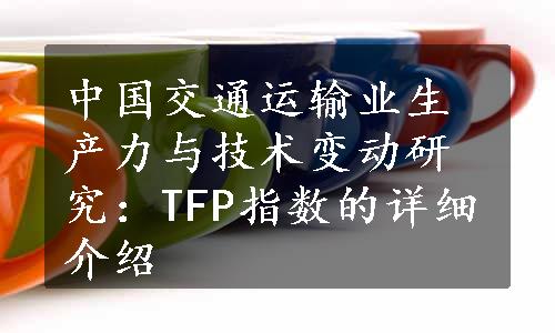 中国交通运输业生产力与技术变动研究：TFP指数的详细介绍