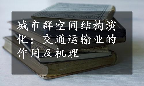 城市群空间结构演化：交通运输业的作用及机理