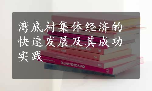 湾底村集体经济的快速发展及其成功实践