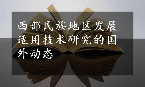 西部民族地区发展适用技术研究的国外动态