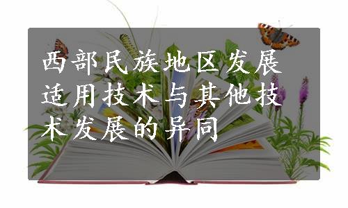 西部民族地区发展适用技术与其他技术发展的异同