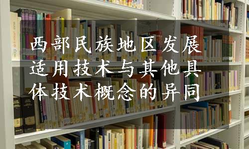 西部民族地区发展适用技术与其他具体技术概念的异同