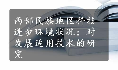 西部民族地区科技进步环境状况：对发展适用技术的研究