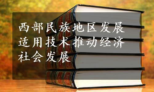 西部民族地区发展适用技术推动经济社会发展