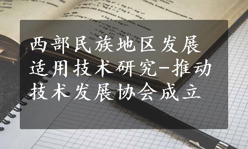 西部民族地区发展适用技术研究-推动技术发展协会成立