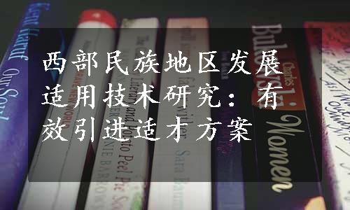 西部民族地区发展适用技术研究：有效引进适才方案