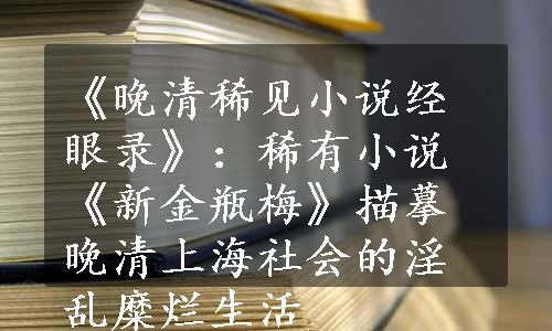 《晚清稀见小说经眼录》：稀有小说《新金瓶梅》描摹晚清上海社会的淫乱糜烂生活