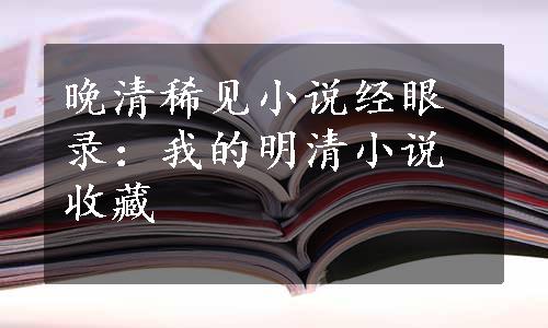 晚清稀见小说经眼录：我的明清小说收藏