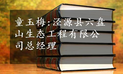 童玉梅:泾源县六盘山生态工程有限公司总经理