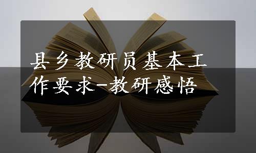 县乡教研员基本工作要求-教研感悟