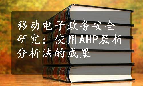 移动电子政务安全研究：使用AHP层析分析法的成果