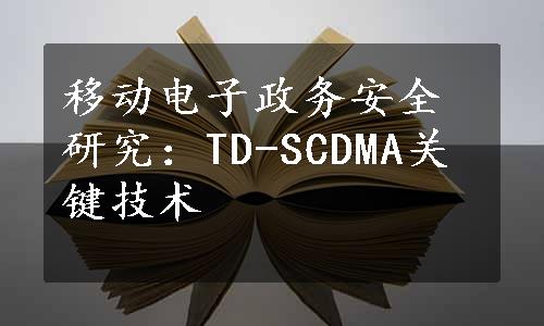 移动电子政务安全研究：TD-SCDMA关键技术