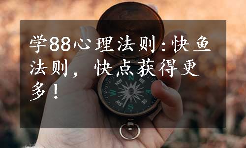 学88心理法则:快鱼法则，快点获得更多！