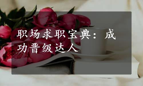 职场求职宝典：成功晋级达人