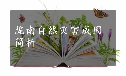 陇南自然灾害成因简析