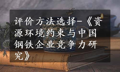 评价方法选择-《资源环境约束与中国钢铁企业竞争力研究》