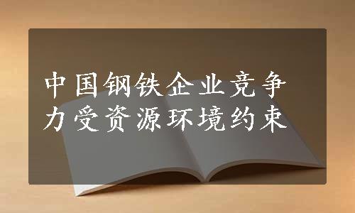 中国钢铁企业竞争力受资源环境约束