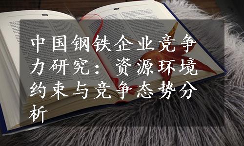 中国钢铁企业竞争力研究：资源环境约束与竞争态势分析