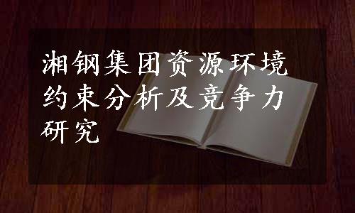 湘钢集团资源环境约束分析及竞争力研究