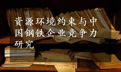 资源环境约束与中国钢铁企业竞争力研究