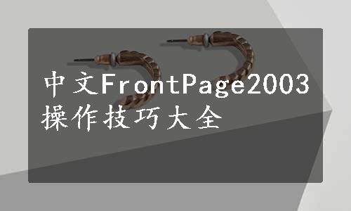 中文FrontPage2003操作技巧大全