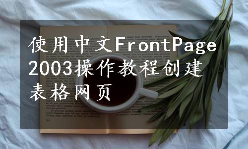 使用中文FrontPage2003操作教程创建表格网页