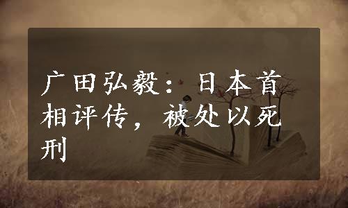 广田弘毅：日本首相评传，被处以死刑