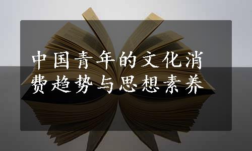 中国青年的文化消费趋势与思想素养