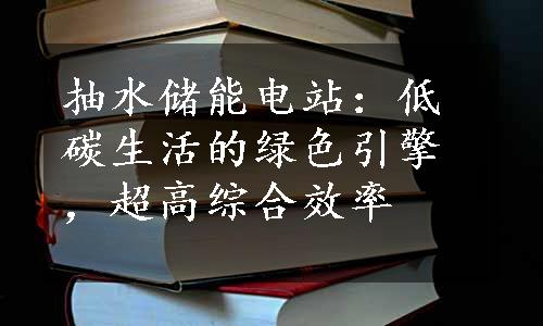 抽水储能电站：低碳生活的绿色引擎，超高综合效率