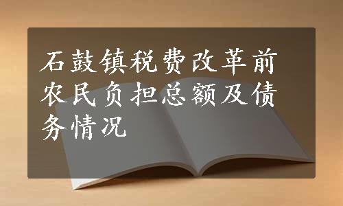 石鼓镇税费改革前农民负担总额及债务情况