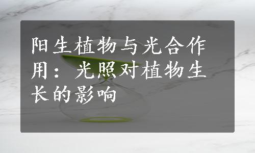 阳生植物与光合作用：光照对植物生长的影响