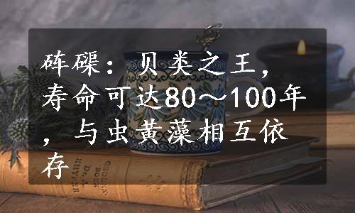 砗磲：贝类之王，寿命可达80～100年，与虫黄藻相互依存