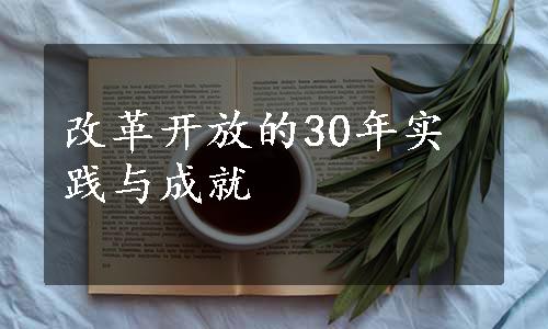 改革开放的30年实践与成就