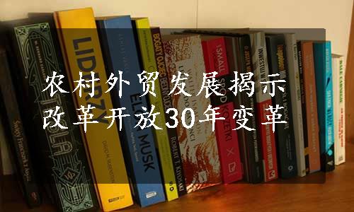 农村外贸发展揭示改革开放30年变革