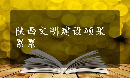 陕西文明建设硕果累累